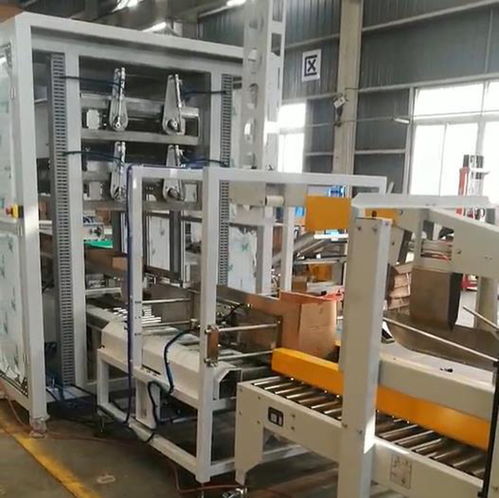 ZYL-ZX05自動食用油裝箱機(jī) 高效、可靠的跌落式裝箱自動化解決方案